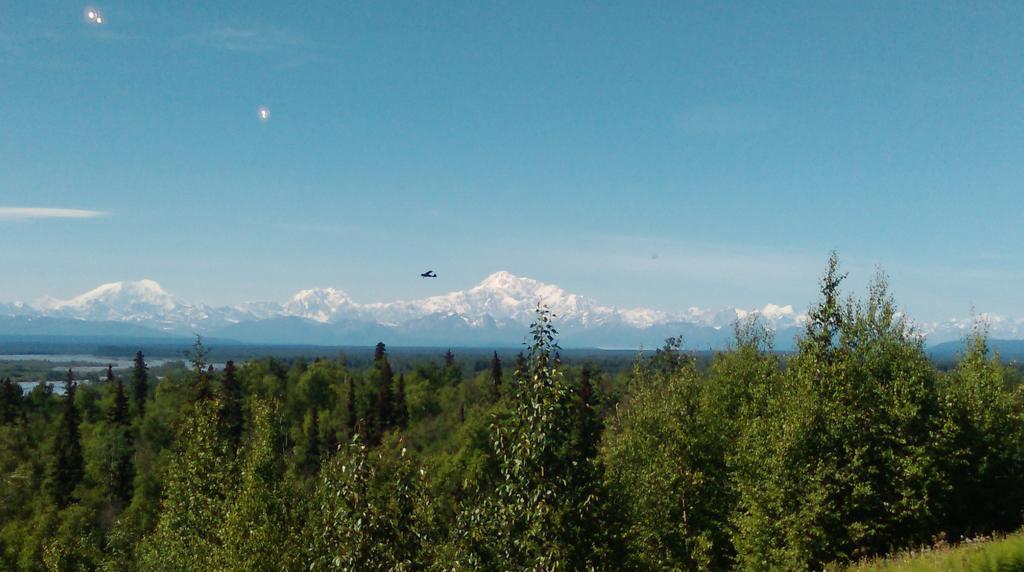 Talkeetna Love-Lee Cabins Hotel Kültér fotó