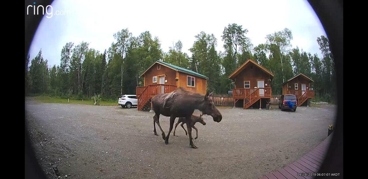 Talkeetna Love-Lee Cabins Hotel Kültér fotó